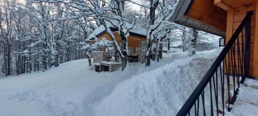 Vila Sun Forest Žabljak Εξωτερικό φωτογραφία
