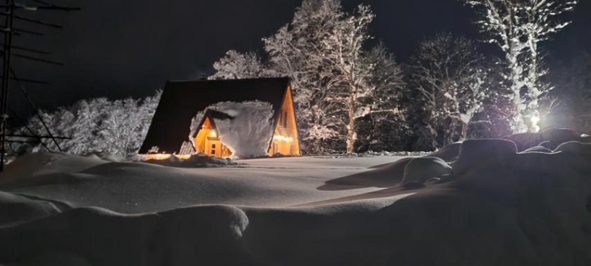 Vila Sun Forest Žabljak Εξωτερικό φωτογραφία